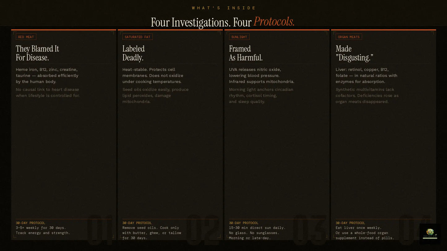 03_whats_inside_1080.png__PID:b4cb64cf-c6df-4340-9337-2b9fe89580de